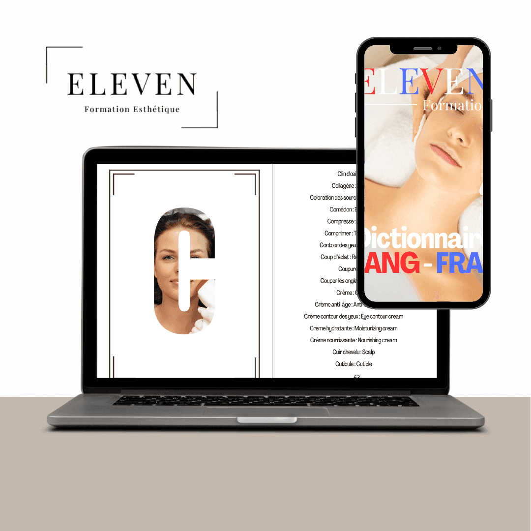 Version numérique du Dictionnaire Anglais / Français Esthétique sur ordinateur et smartphone, pratique pour une formation en ligne.