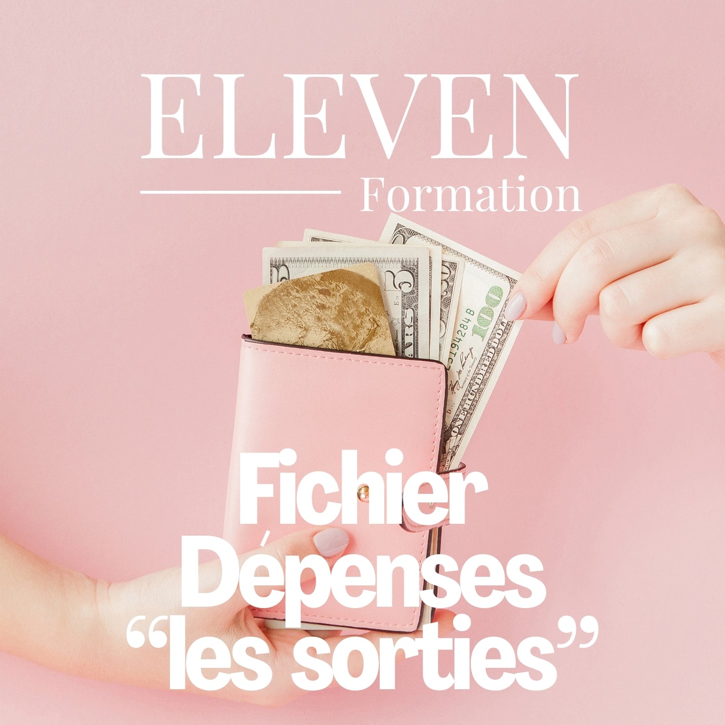 FICHIER DÉPENSES INSTITUT