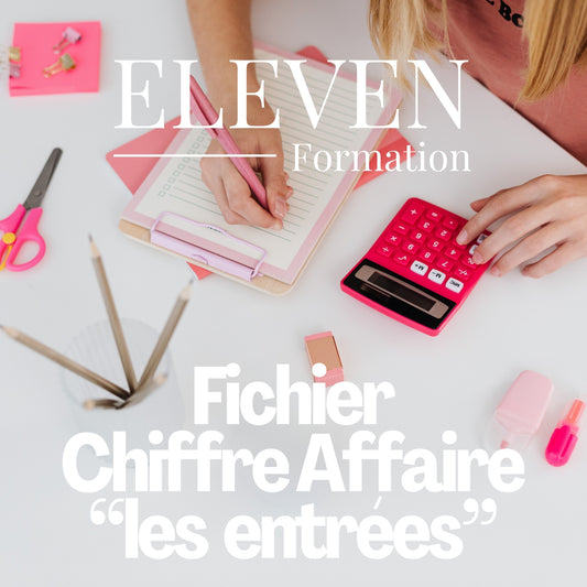 FICHIER CHIFFRE D'AFFAIRE