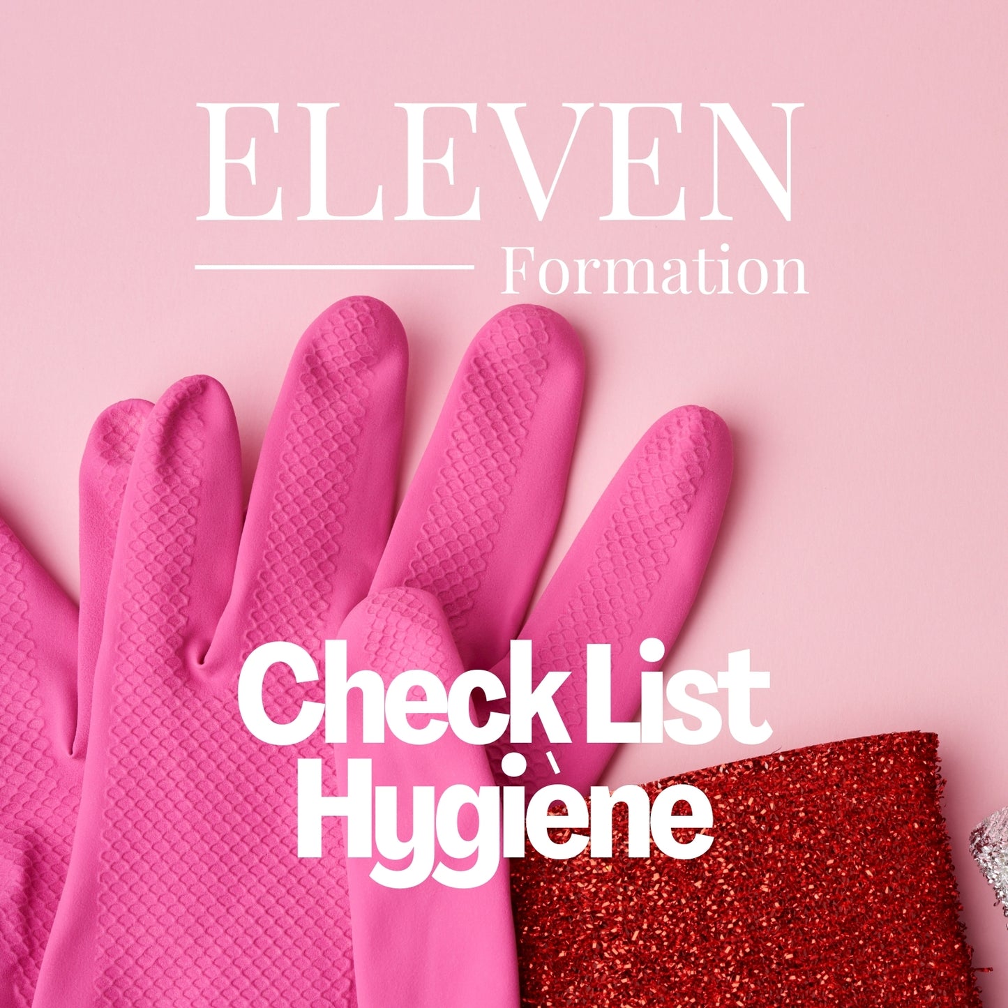 CHECK LIST HYGIENE