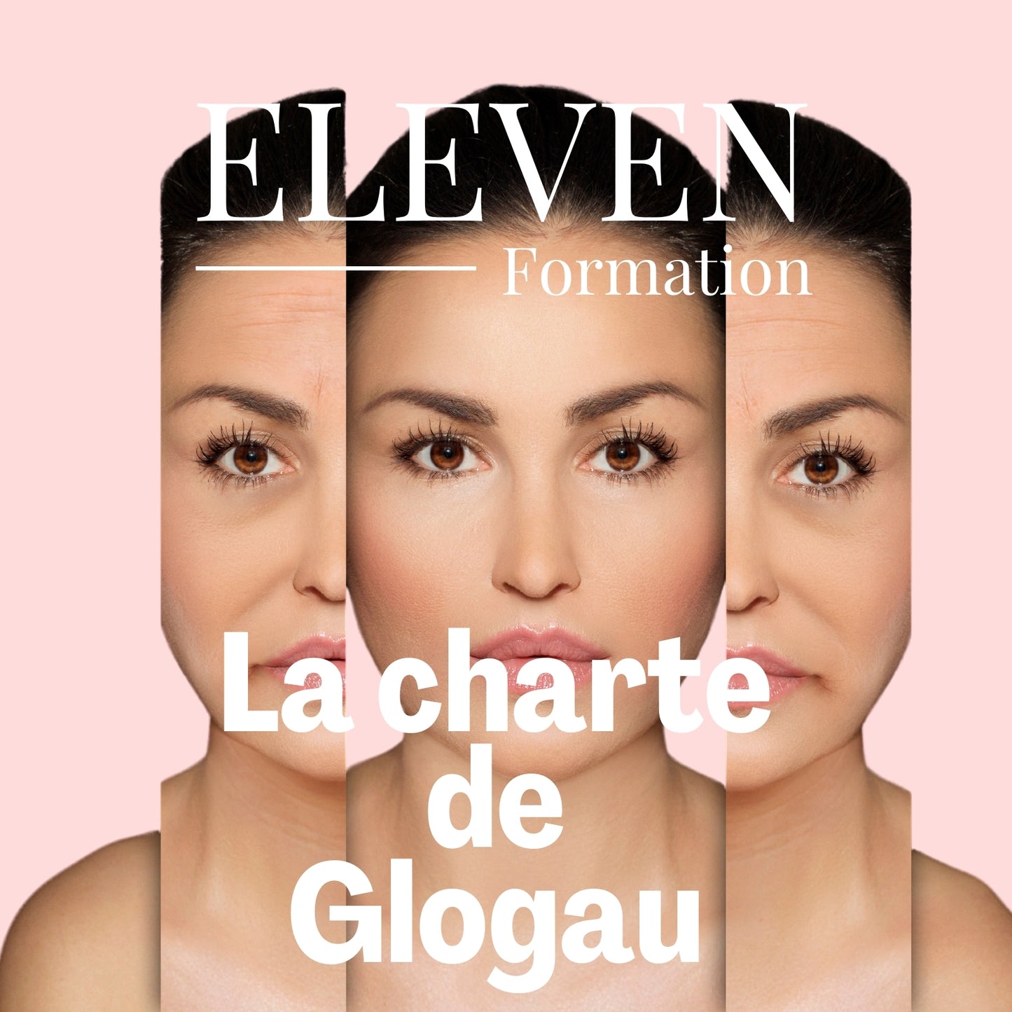 CHARTE DE GLOGAU