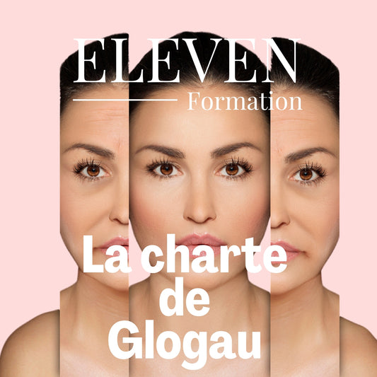 CHARTE DE GLOGAU