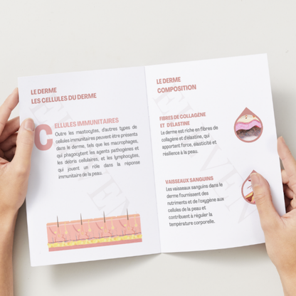 Formation Lifting Coreen en ligne