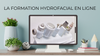 Formation hydrofacial en ligne